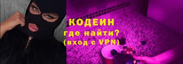 PSILOCYBIN Карталы