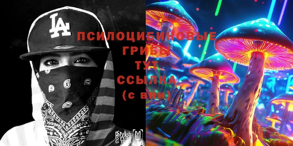 бошки Карпинск
