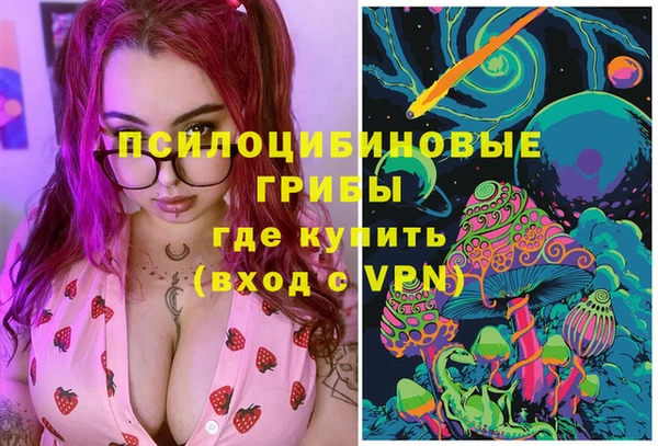 бошки Карпинск