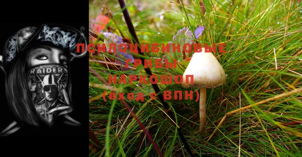 бошки Карпинск