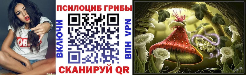 Галлюциногенные грибы MAGIC MUSHROOMS  Купить  Усть-Кут 